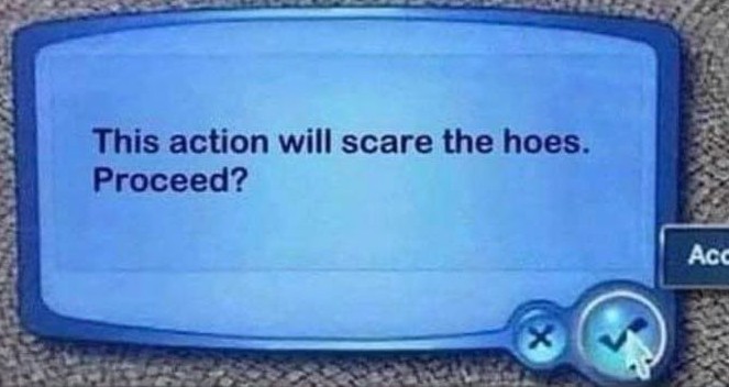 this action will scare the hoes. proceed?